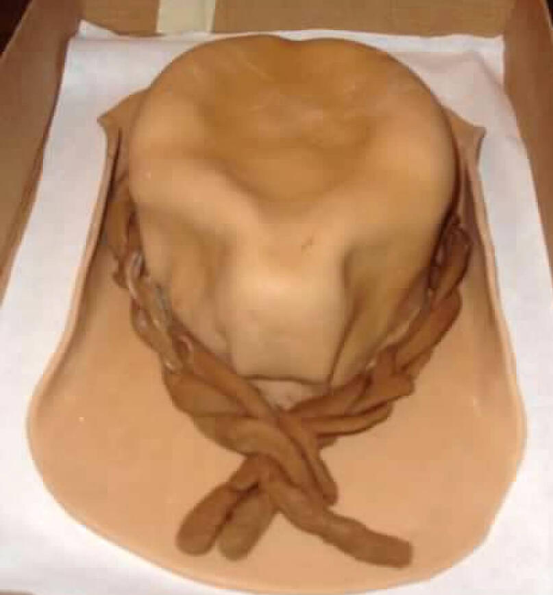 Cowboy hat cake