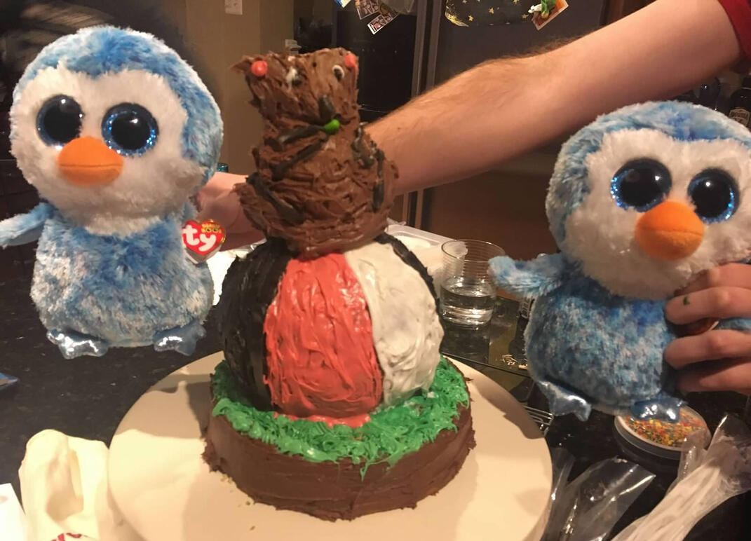 Kelley's Ty owl Bday cake 2017